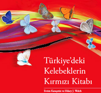 Охрана популяции бабочек в Турции