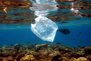 Пластиковый пакет – враг живой природы