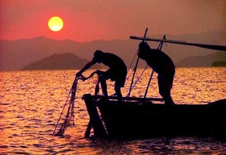 Проблемы чрезмерного истощения рыбных запасов и ситуация в акватории Турции