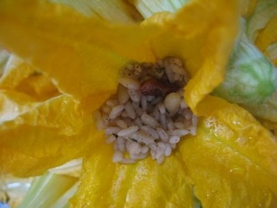 Рецепт долмы из кабачковых цветочков